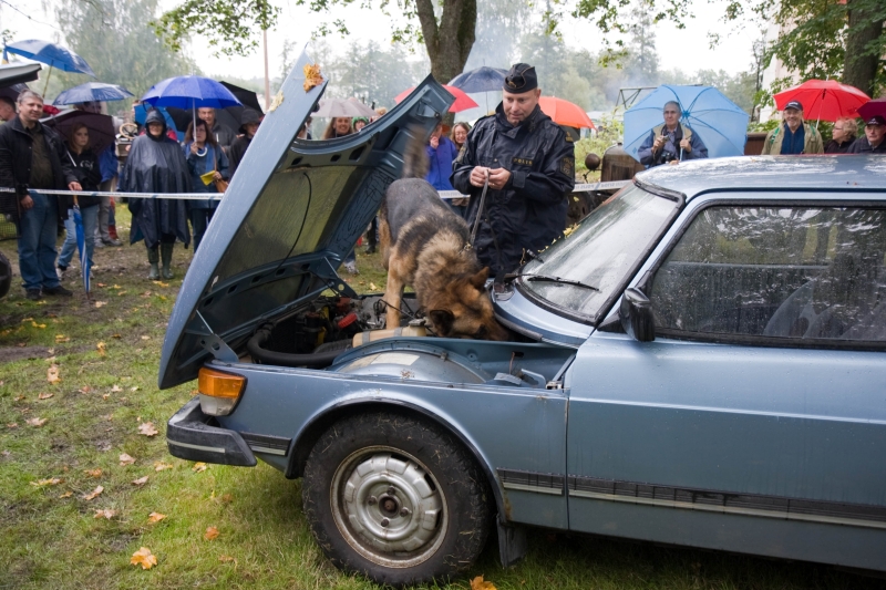 Aktiviteter 2008_20.jpg